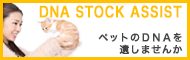 DNA STOCK ASSIST 紹介ページ