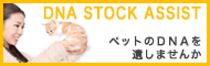 DNA STOCK ASSIST Љy[W